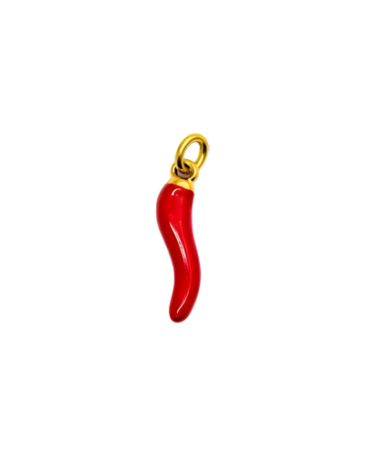 Přívěsek Chilli na náramek i řetízek